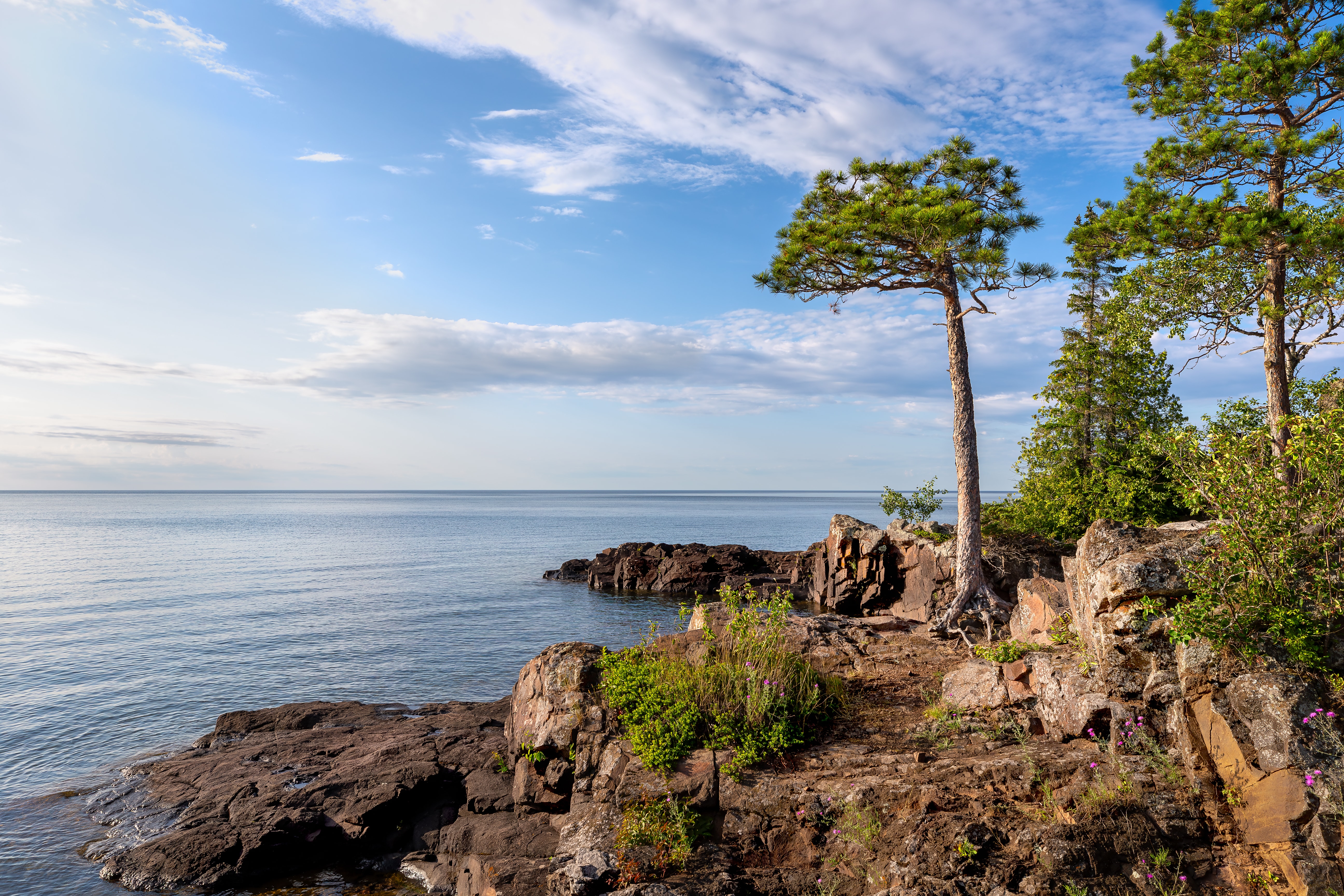 Great Lakes landscape with rocky shoreline and trees