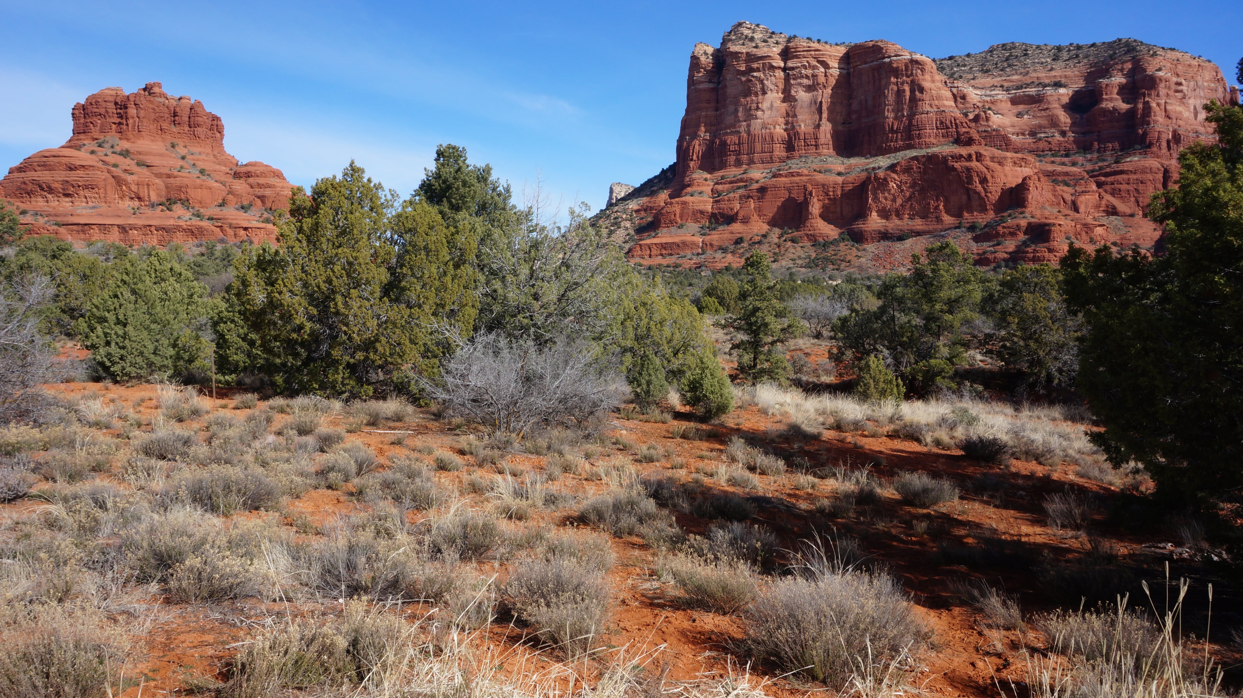 Red Rocks of Sedona