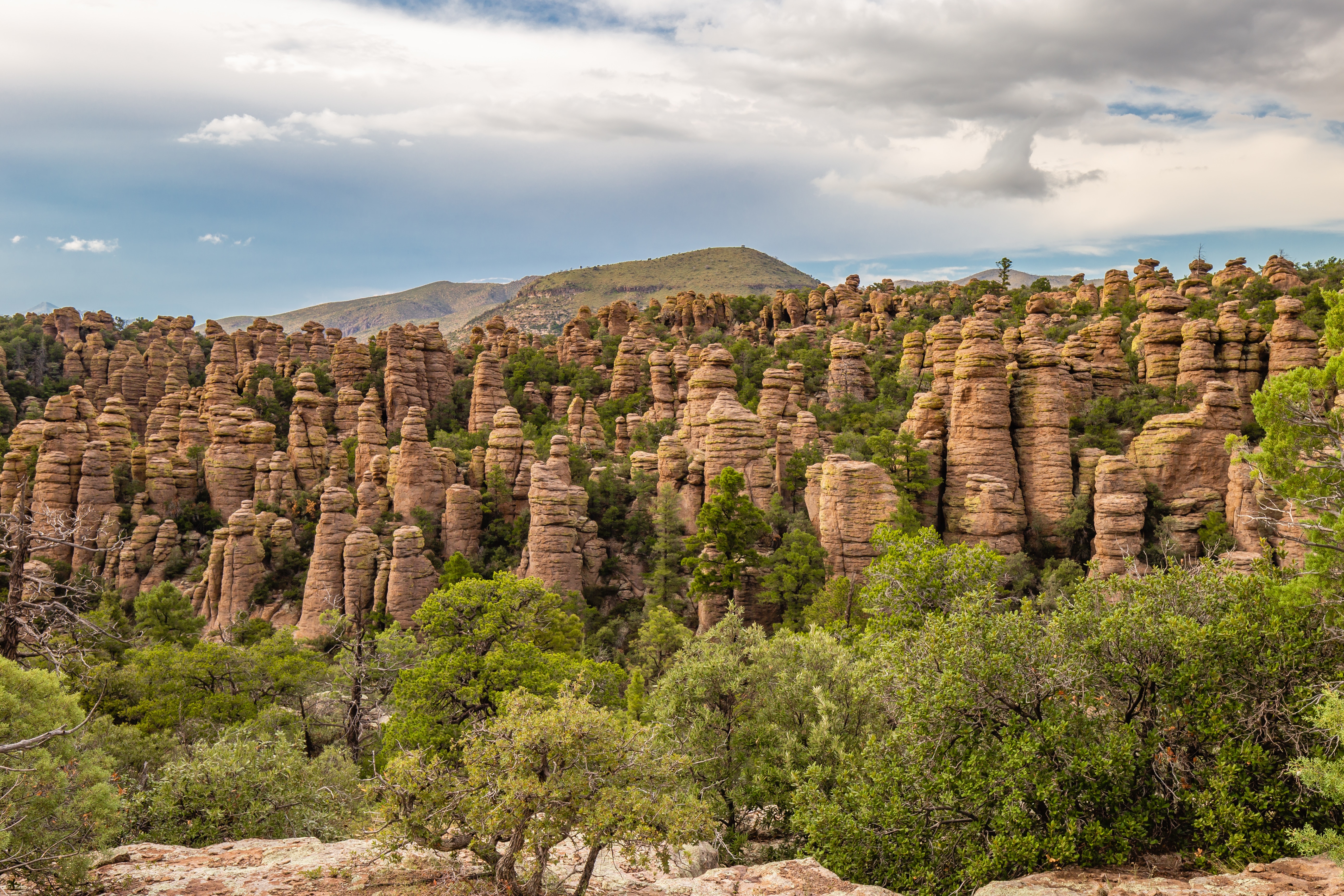 Chiricahua National Monument