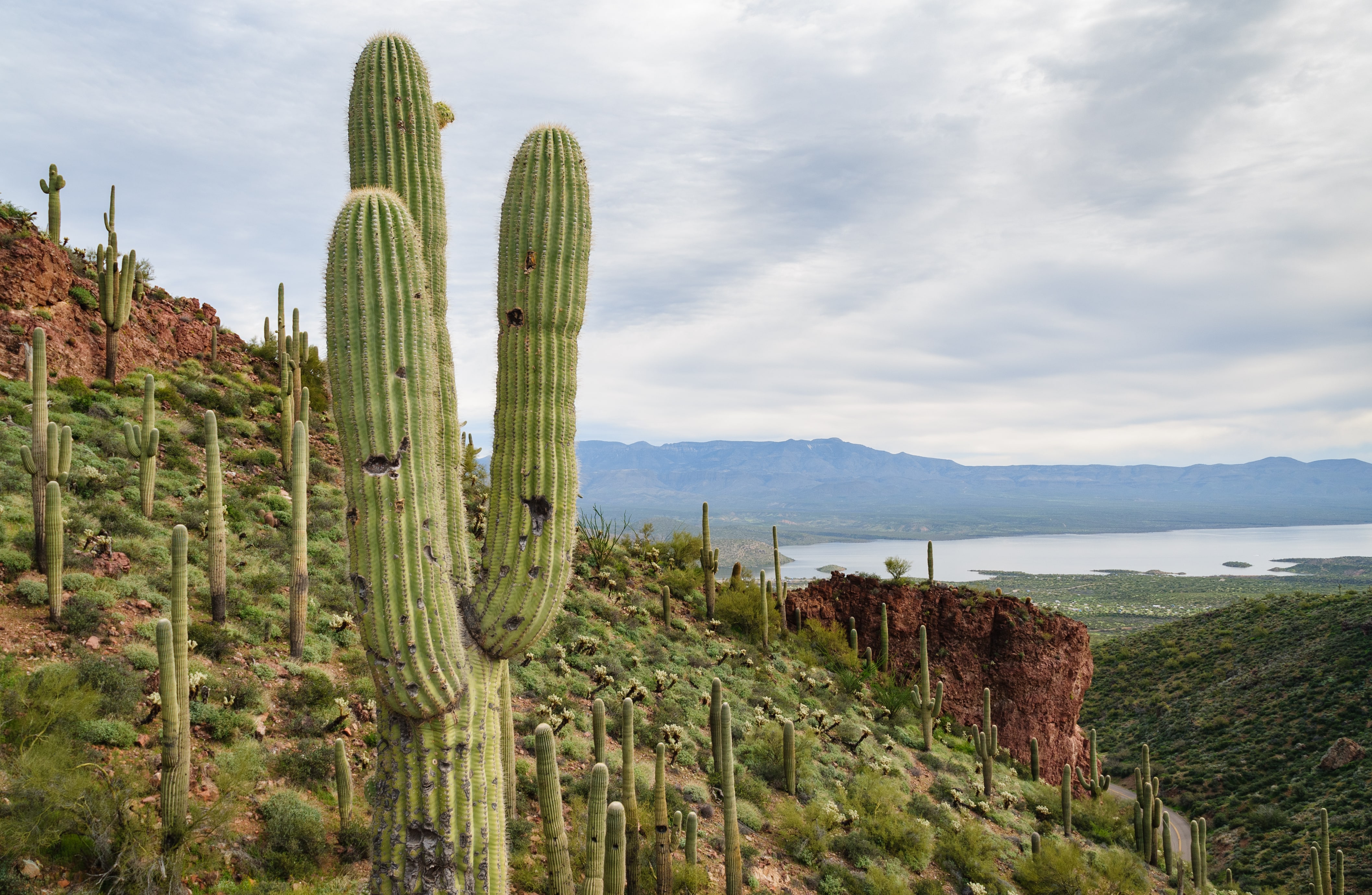 Tonto National Monument